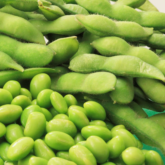 Edamame