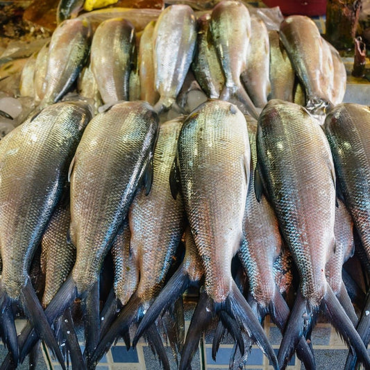 Ikan Bandeng Bumbu Kuning