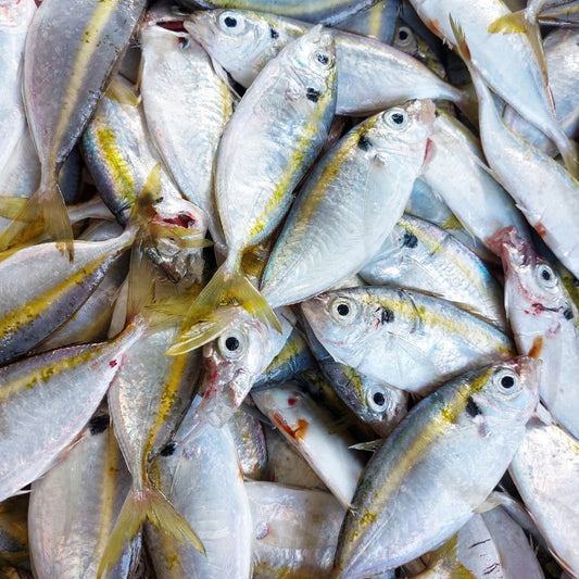 Ikan Selar Bumbu Kuning