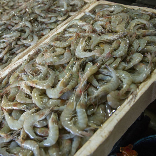 Udang Jerebung