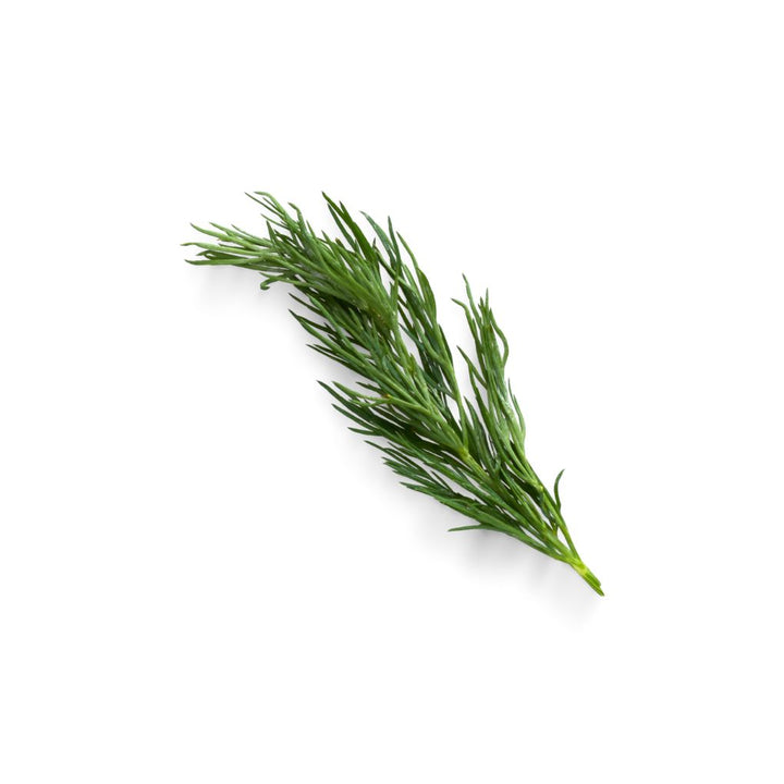 Rosemary